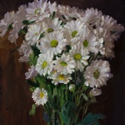 230316-daisy-flower-9x12
