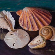 230419-seashells-10x8