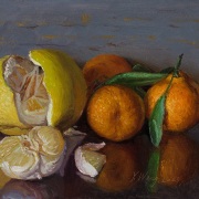 230709-pomelo-and-mandarin-oranges-10x8