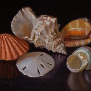 230717-seashells-12x9