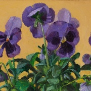 231030-purple-pansy-flower-8x6