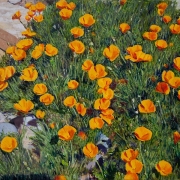 160226-poppy-flower-commission