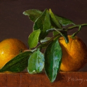 160311-clementine-orange-tangerine