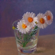 a1256-daisy-flower-in-a-glass-cup