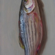 080808a1049-fish