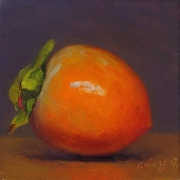 080808a1103-a-persimmon