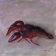 080808a962-a-small-lobster-clawfish