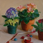100909a1668-flower-in-pots