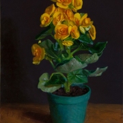 110909-flower-in-a-pot-6X8