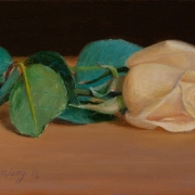 110909-rose