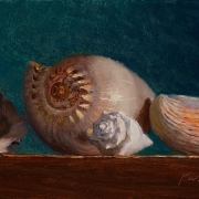 140101-seashells