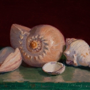 140818-seashells