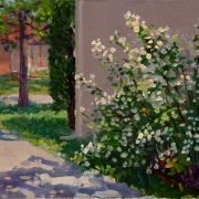 140819-corner-of-the-yard-under-sun-light