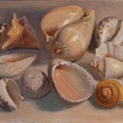 150420-seashells