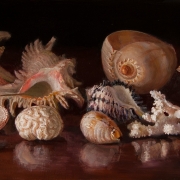150701-seashells-commission-2