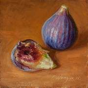 151210-figs-5x5