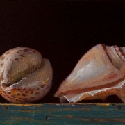 151212-seashells