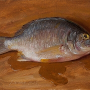 151224-fish