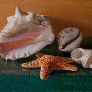159022-seashells-still-life-painting