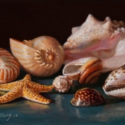 170124-seashells