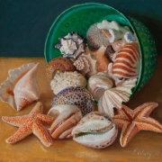 170706-seashells