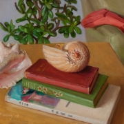 170718-books-seashells