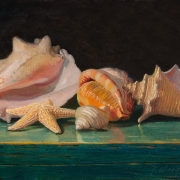190320-seashells-12x9