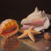 190401-seashells-10x8