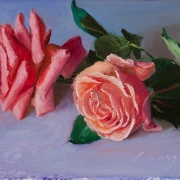 1_100913-pinck-roses-flower-7x5