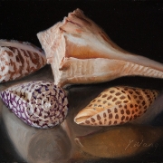 1_190914-seashells