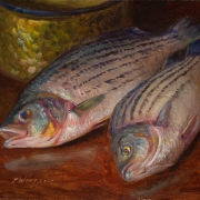 200122-fish-with-a-metal-bucket-no2-10x8
