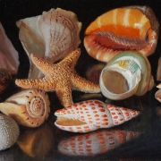 200218-seashells-16x8
