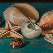 200320-seashells-11.5x7