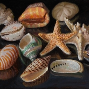 200419-seashells-12x9