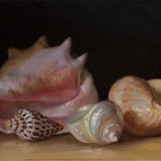 200703-seashells-10x7