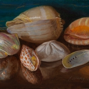 200721-seashells-10x7