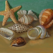 200816-seashells-10x8