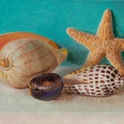 200916-seashells-8x6