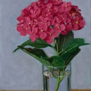 200917-pink-hydrangea-in-a-glass-cup-7x10