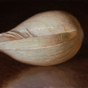 200927-a-seashell-7x5