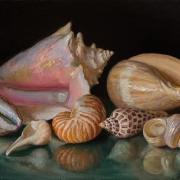 201008-seashells-12x9