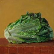 203017-a-lettuce-8x8