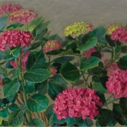 201003-hydrangea-flower-20x16