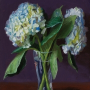 210121-hydrangea-flower-9x12