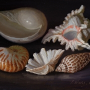 210319-seashells-10x8