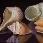 210330-seashells-11
