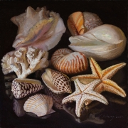 210713-seashells-10x10