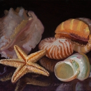 210818-seashells-10x8