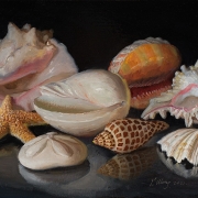 211012-seashells-12x9