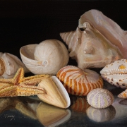211101-seashells-12x9